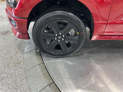 2026 Ford F-150 STX Lobo