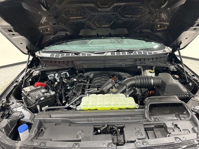 2026 Ford F-150 STX Lobo