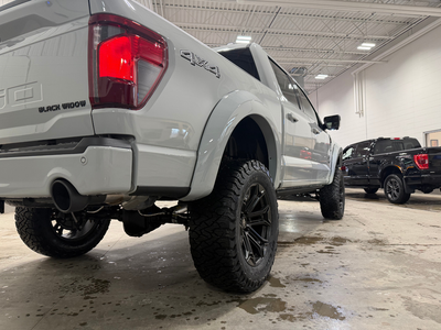 2026 Ford F-150 Black Widow