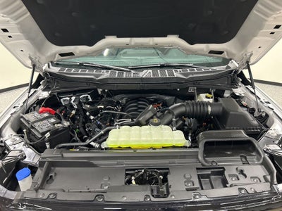 2026 Ford F-150 XLT Dark Trail