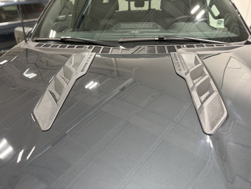 2026 Ford F-150 Black Widow