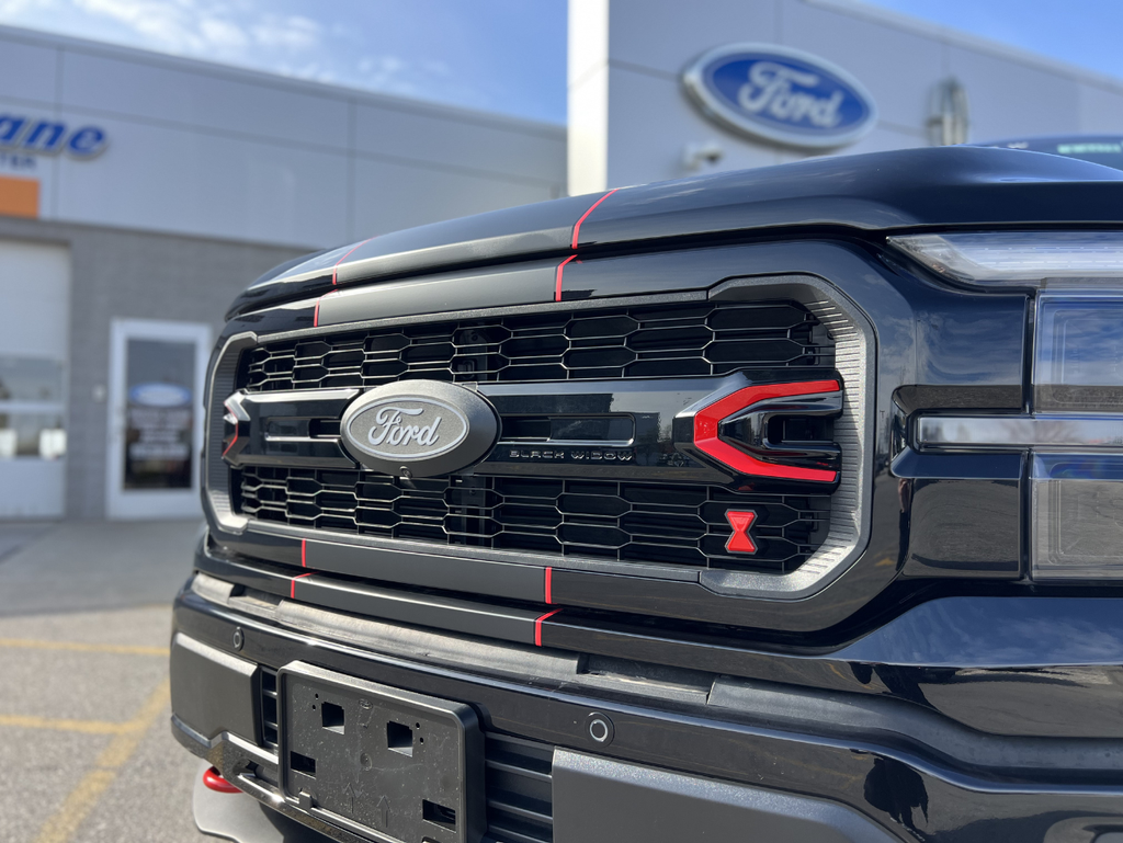 2026 Ford F-150 Black Widow SR 810