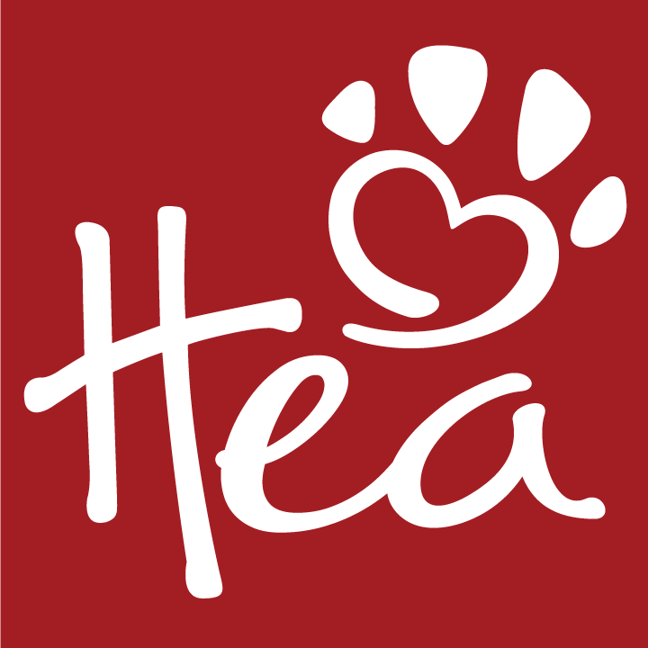 Dorsch Auto Group in Green Bay, WI